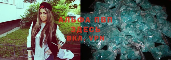 молекула духа Дмитров