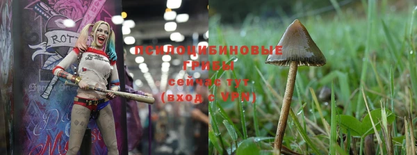 прущая мука Дмитриев